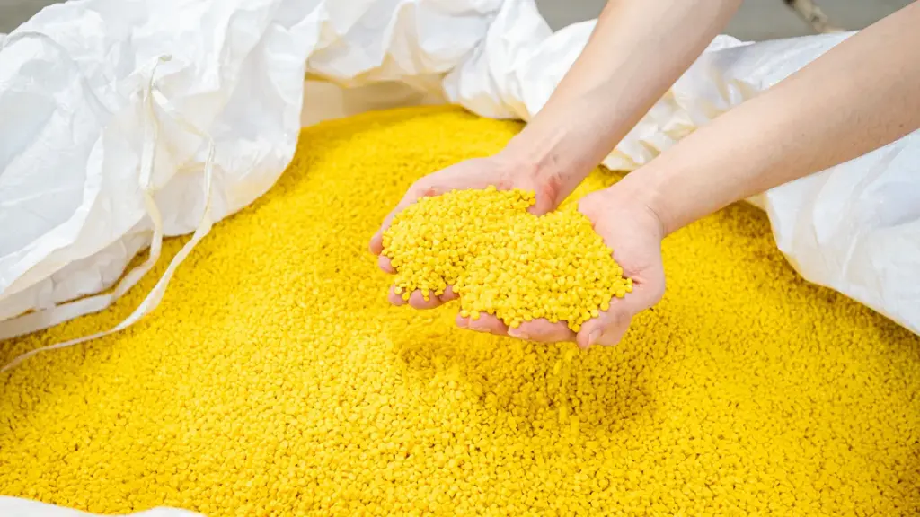 Worker holding yellow plastic masterbatch granules for cable insulation raw material