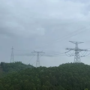 Stromübertragungsleitungsprojekt 在牙买加